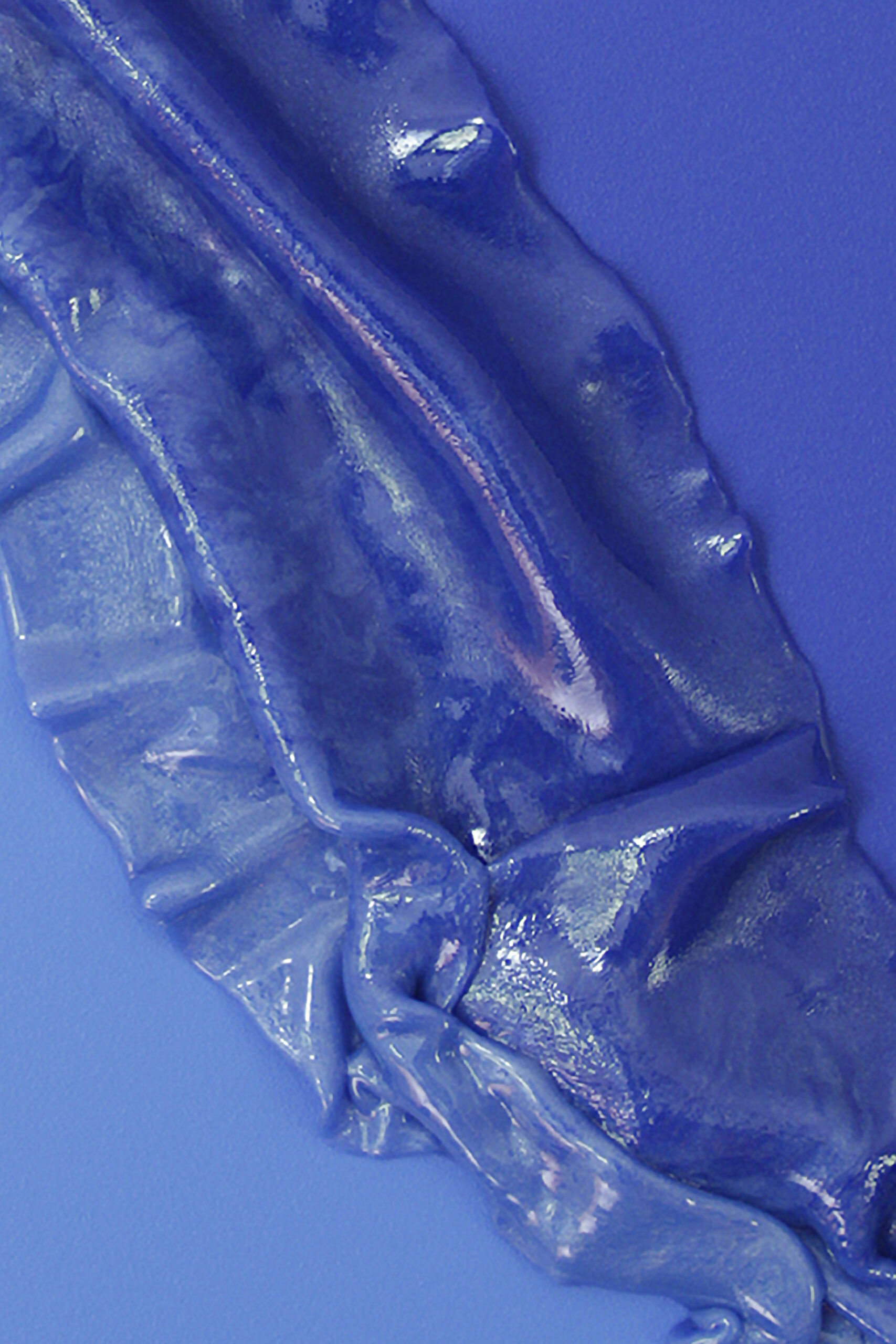 Foglia blu 09