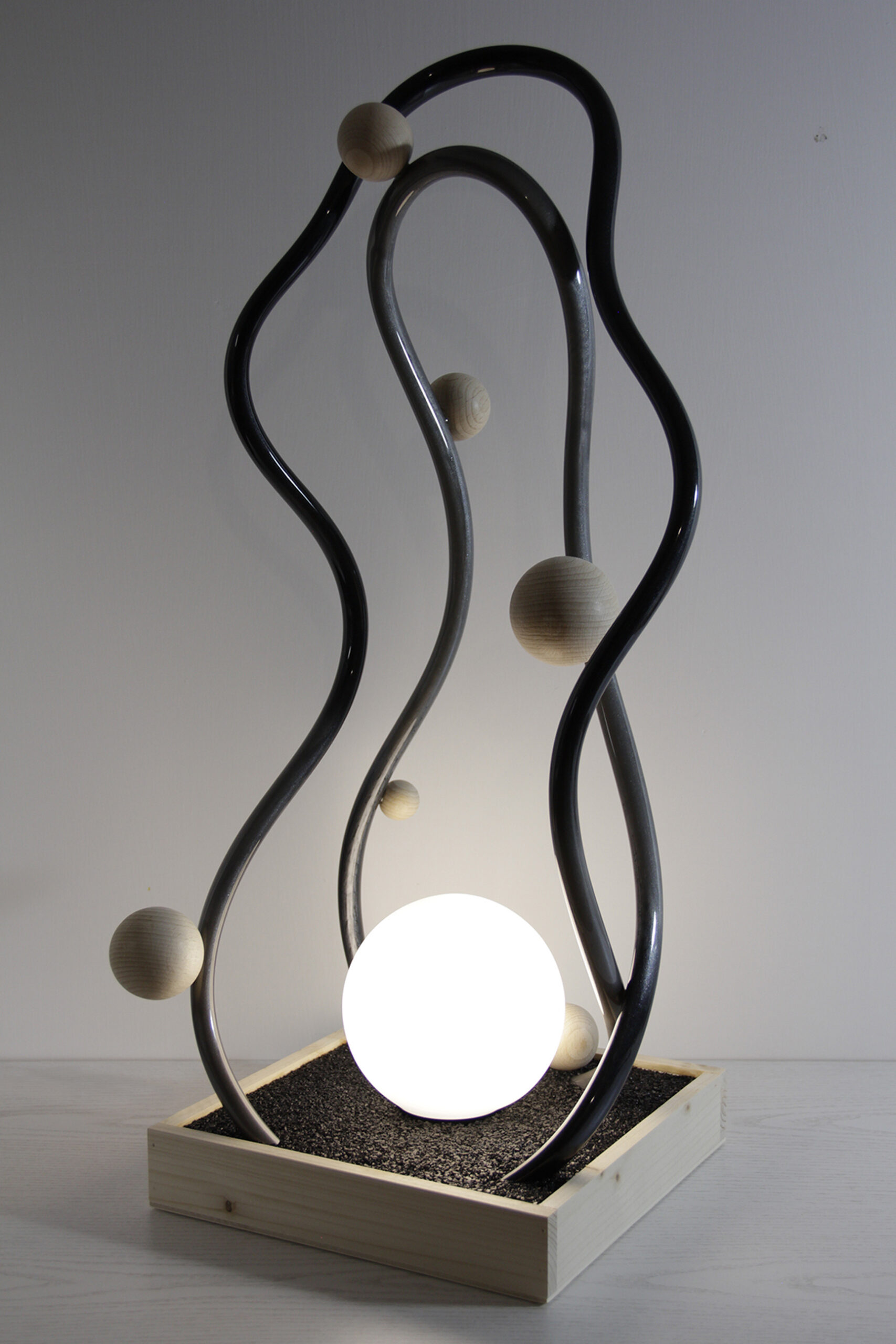 Moon plant 01