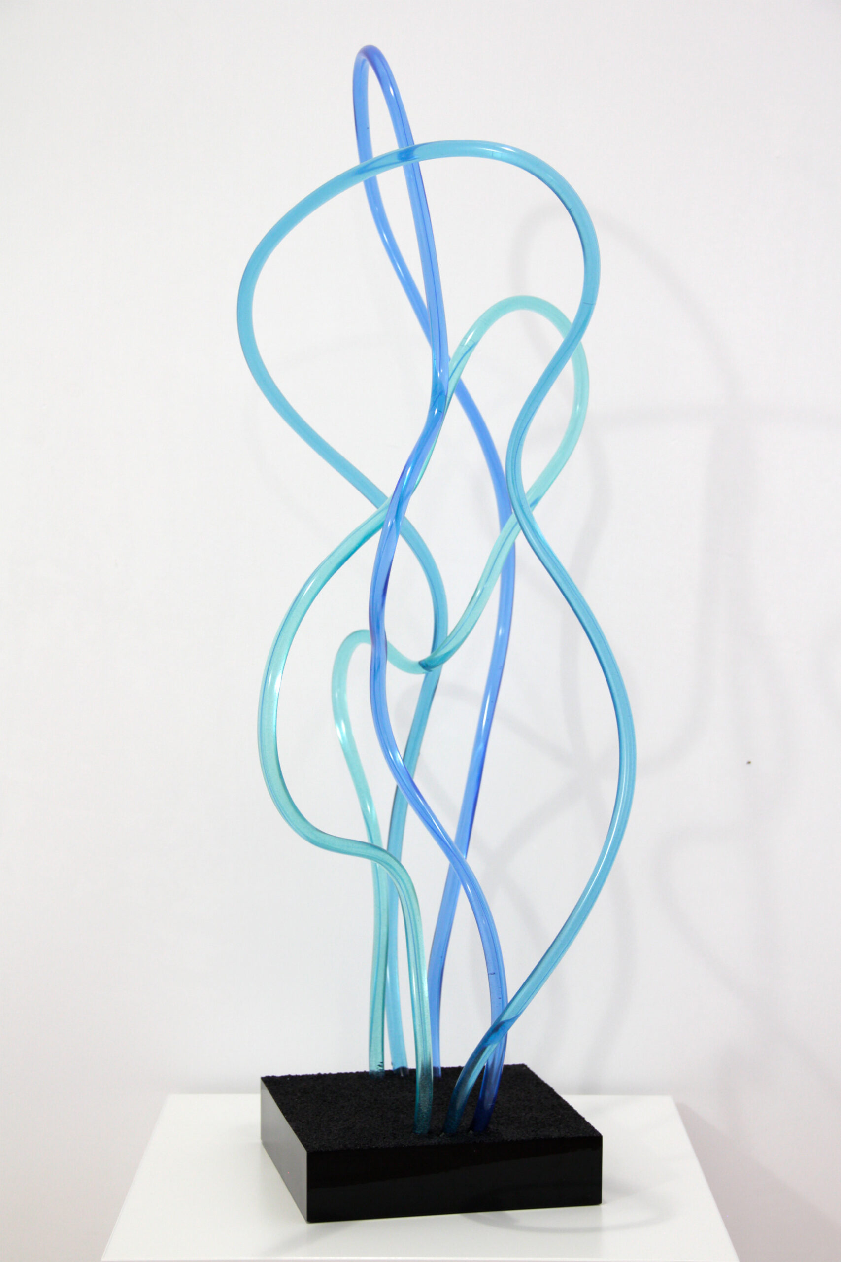 Water organism 01