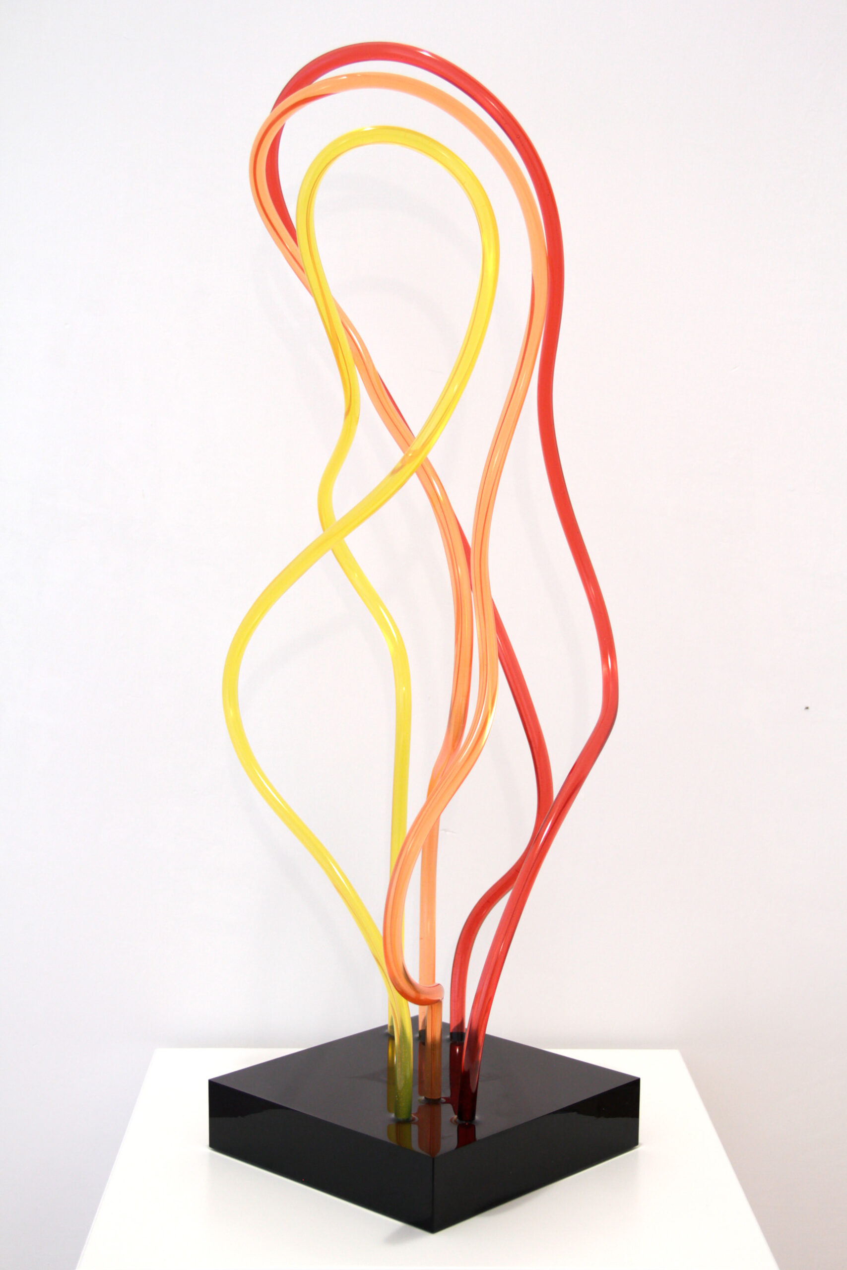 Fire organisms 05
