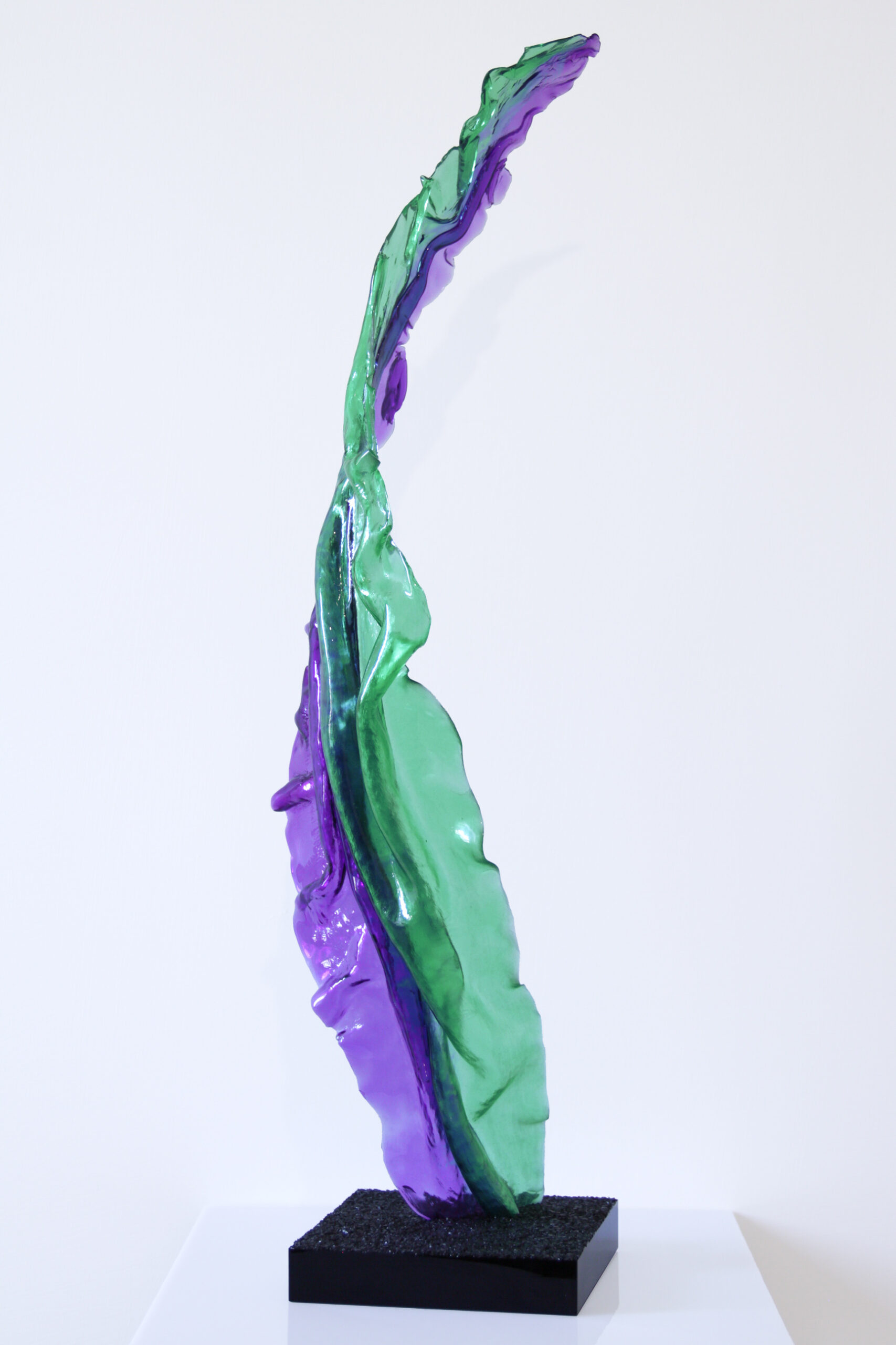Tradescantia 02