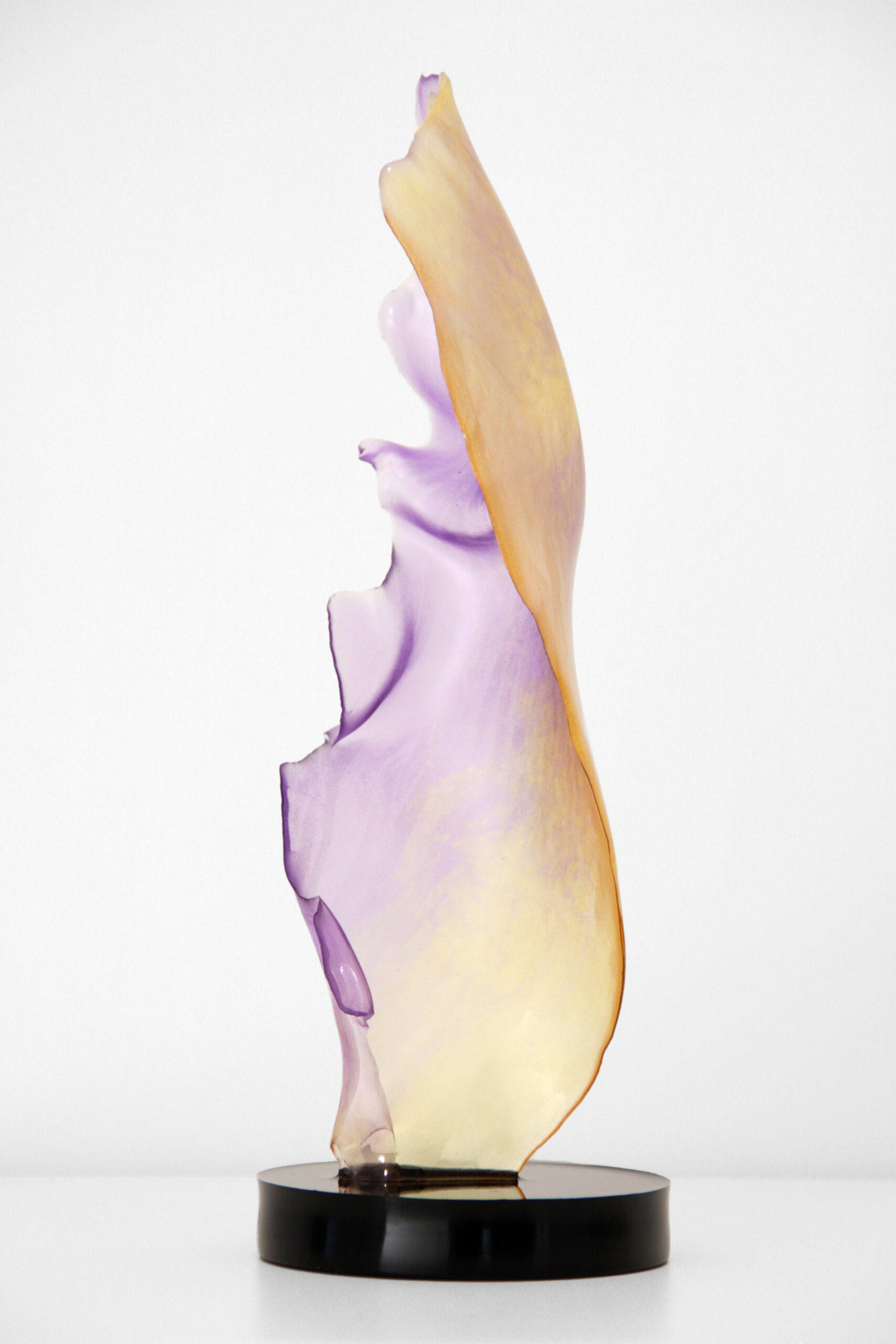 Yellow and purple glass feather 02
